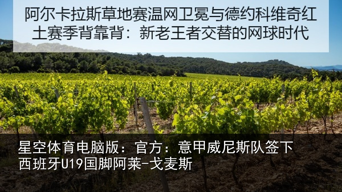 星空体育电脑版:官方:意甲威尼斯队签下西班牙U19国脚阿莱-戈麦斯