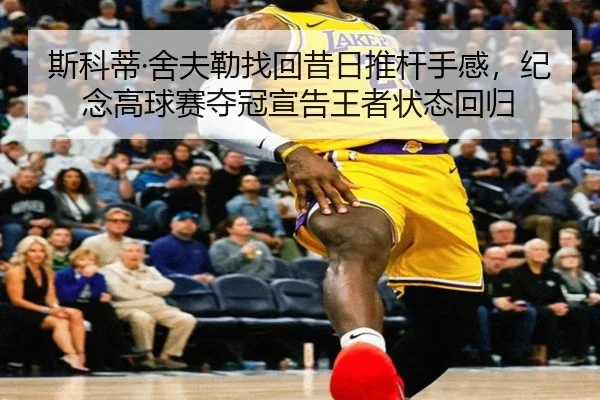 si-ke-di-she-fu-lei-zhao-hui-xi-ri-tui-gan-shou-gan-ji-nian-gao-qiu-sai-duo-guan-xuan-gao-wang-zhe-zhuang-tai-hui-gui-3-783.jpg