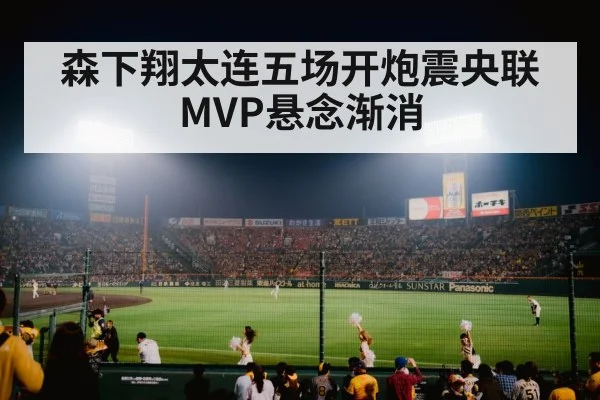 baseball stadium night game
