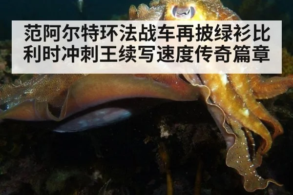 范阿尔特环法战车再披绿衫比利时冲刺王续写速度传奇篇章